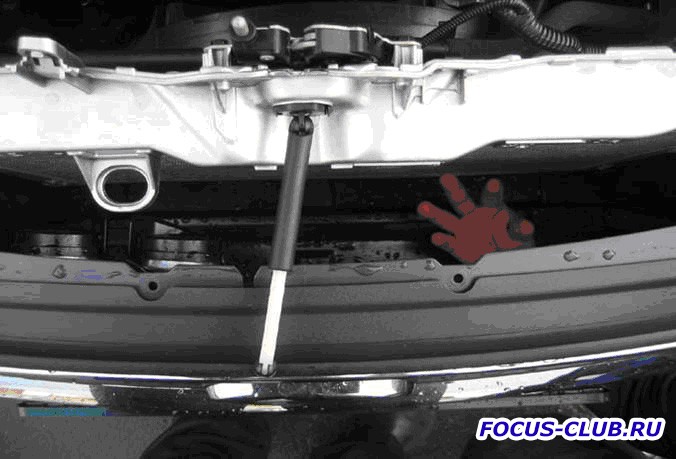 Установка газовых упоров капота Ford Focus 3 фото