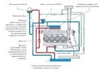 Как долить антифриз в систему охлаждения Skoda Octavia фото