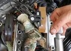 Течь масла через прокладку гидронатяжителя цепи на Toyota Avensis III фото