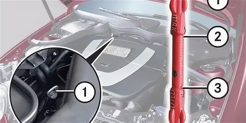 Проверка уровня масла на Mercedes-Benz S-klasse (W221) фото